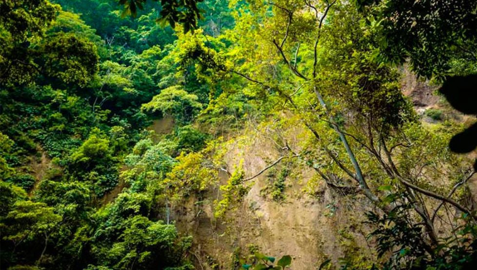Chocoyero-El Brujo Natural Reserve, Managua Department, Nicaragua